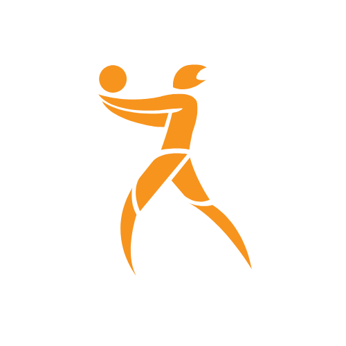 Logo Bola Voli Indoor